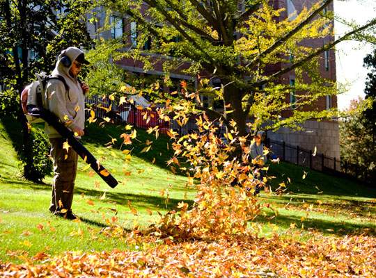 Fall Clean Up Ramos Landscaping, Fall Clean Up Landscaping